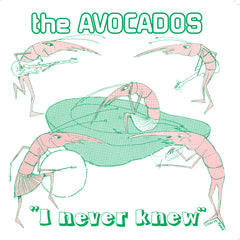 Avocados, The