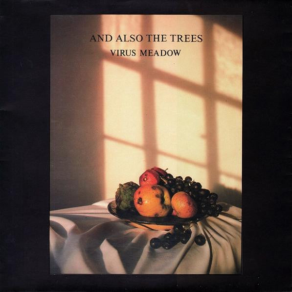 And Also The Trees – Virus Meadow LP