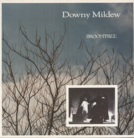 Downy Mildew – Broomtree LP