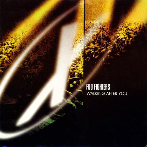 Foo Fighters – Walking After You 7"