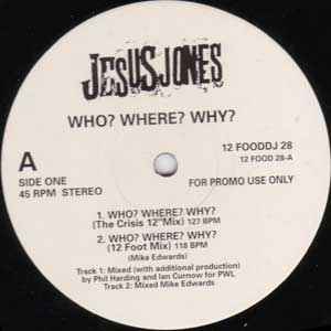 Jesus Jones ‎– Who? Where? Why? 12" Promo
