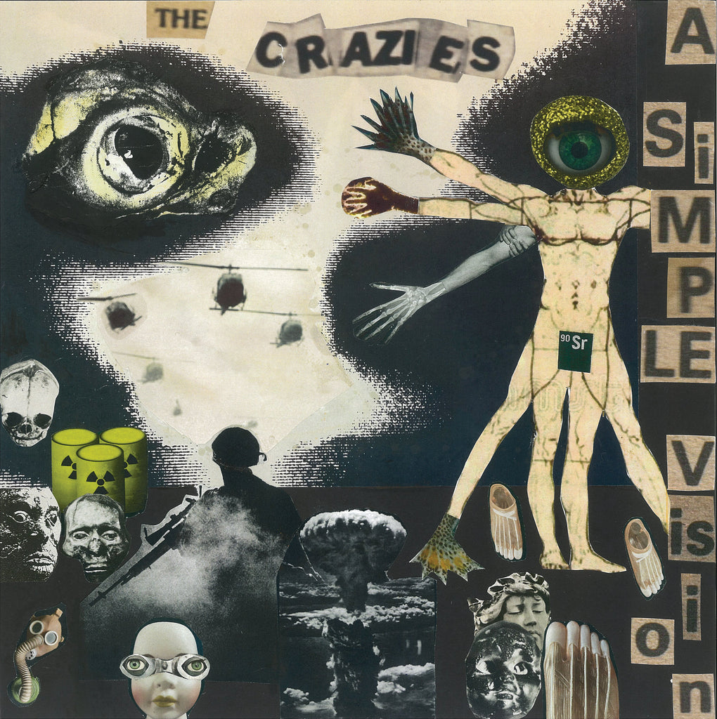 CRAZIES, THE - A SIMPLE VISION LP